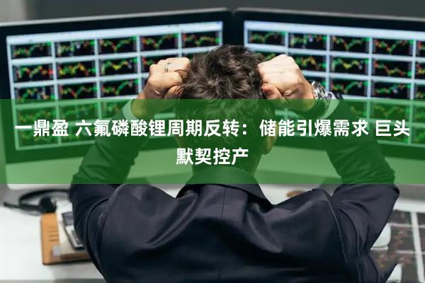 一鼎盈 六氟磷酸锂周期反转：储能引爆需求 巨头默契控产